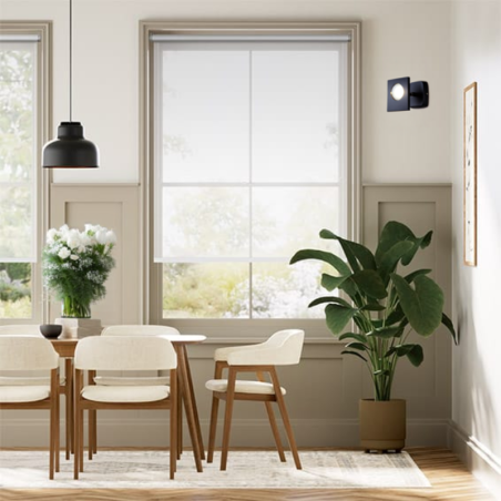 Estores Enrollables Screen Blanco | A Medida | VenetiansBlinds.com